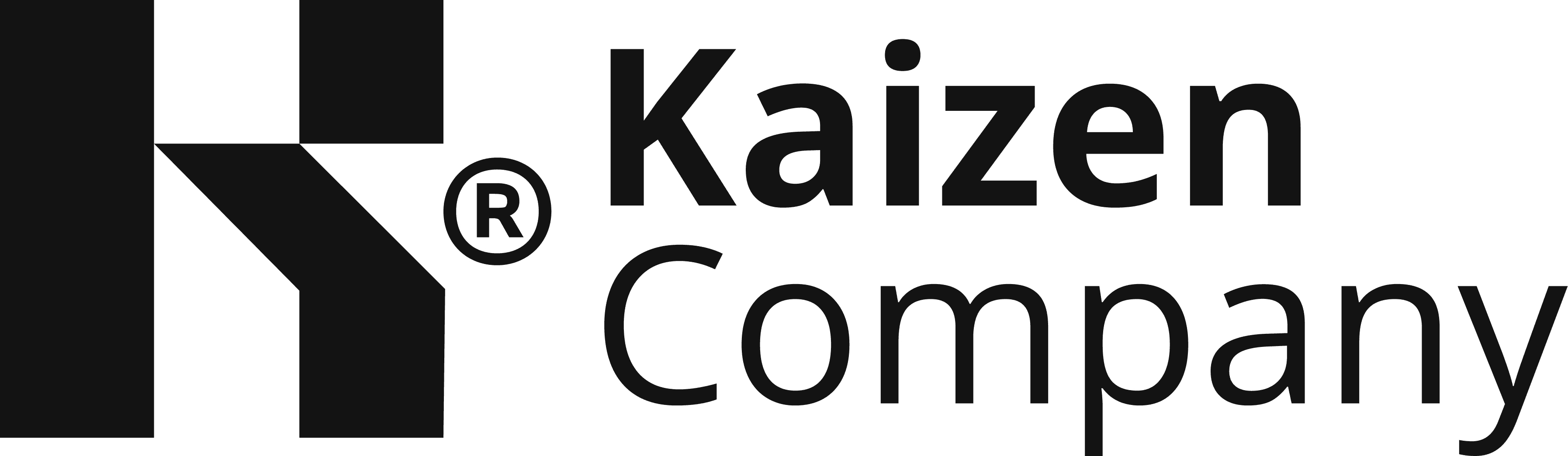 Kaizen Company